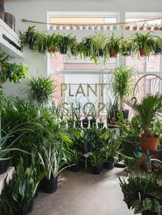 a room filled with lots of potted plants