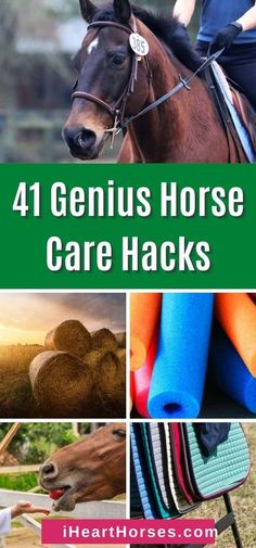 Horse Tack Knowledge, Horse Show Hacks, Barn Hacks Horse, Tack Locker Organization, Horse Barn Ideas, Horse Essentials, Toys For Horses, Horse Blankets Winter