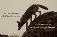 a fox climbing up the side of a mountain with a quote below it that reads, all i ever do is try to do things for the best but i always end up