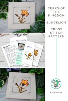 three pictures showing the steps to make a cross stitch pattern for a flower potted plant