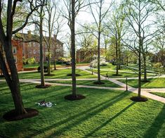 the park has many trees and grass in it