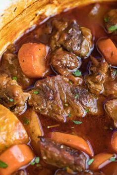 meat and carrots stew in a pot with gravy on the side, ready to be eaten