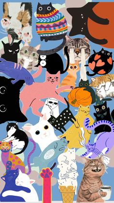 a collage of cats with hats and sweaters on, all in different colors