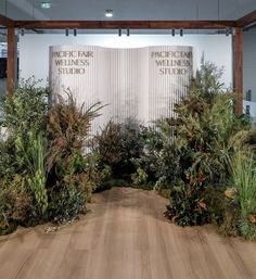 an indoor area with various plants and trees