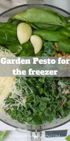 A food processor with garden greens, kale and basil, garlic, pine nuts, and Parmesan cheese. Basil Ideas, Freezing Pesto, Homemade Basil Pesto, Delicious Veggies, How To Make Pesto, Foodie Crush