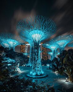 the gardens at night are lit up with blue lights and trees in the foreground