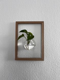 a glass vase with a plant in it hanging on a wall above a wooden frame