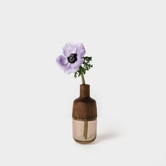 a purple flower in a brown vase on a white background