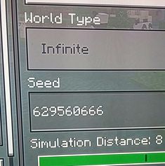 a computer screen with the words world type and infinite seed on it's display