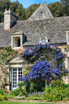 an old stone house with purple flowers growing on the front and side windows, surrounded by greenery