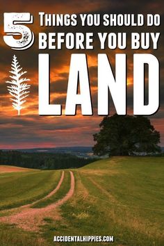 a dirt road with the words 5 things you should do before you buy land on it