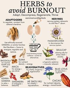 Herbs For Fatigue, Herbal Remedy Recipes, Ashwagandha Benefits For Women, Medicinal Wild Plants, Herbal Medicine Recipes, Magickal Herbs, Medical Herbs, Avoid Burnout