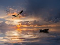 a bird flying over the ocean with a boat in the water at sunset or dawn