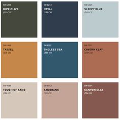 the color palettes for an interior paint scheme