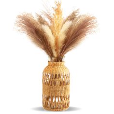 a vase with some brown and white feathers in it's bottom half, on a white background