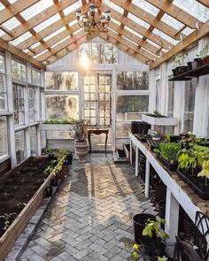 an indoor greenhouse with lots of plants growing in pots and potted plants on the floor