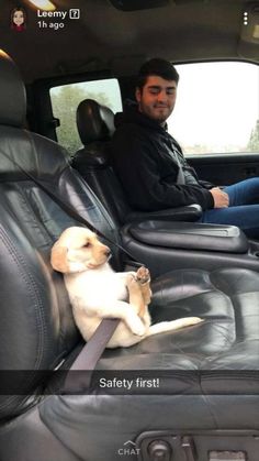 a man sitting in the back seat of a car next to a dog