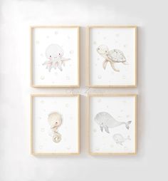 four framed pictures with sea animals on them, one is white and the other is beige