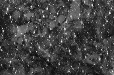 black and white photograph of stars in the night sky