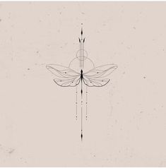 a black and white drawing of a dragonfly on a light gray background with lines