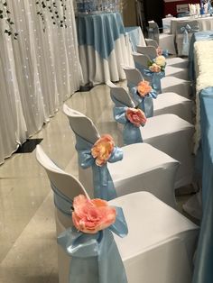 rows of white chairs with blue sashes and flowers on them