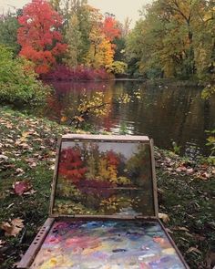 an open box sitting on the side of a river filled with lots of colorful leaves