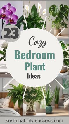 23 Best Bedroom Plants Ideas For A Healthy Sleep Plants In Bedroom Aesthetic, Bedroom Plant Ideas, Bedroom Plants Ideas, Biophilic Bedroom, Plants For The Bedroom, Plant Bedroom Aesthetic