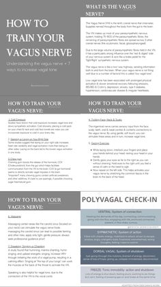 Mental Wellness Worksheet, Polyvagal Theory Worksheets, Abstract Art Ideas Watercolor, Somatic Worksheets, How To Heal Hypervigilance, Emdr Exercises, Dorsal Vagal Shutdown, Ventral Vagal