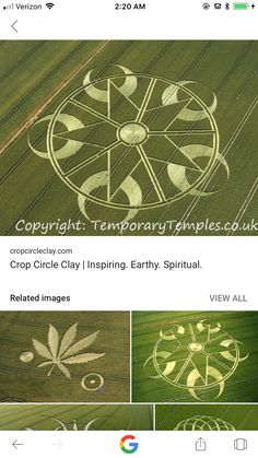 the crop circle is shown in four different pictures