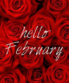 a bunch of red roses with the words hello february