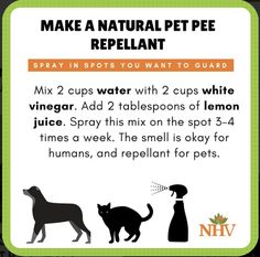 the instructions for how to make a natural pet repellent info sheet with pictures