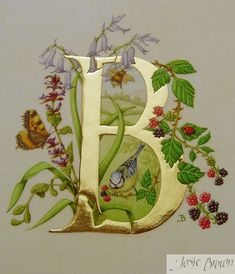 the letter b is surrounded by flowers and butterflies