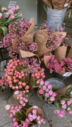 several buckets filled with pink flowers on the ground