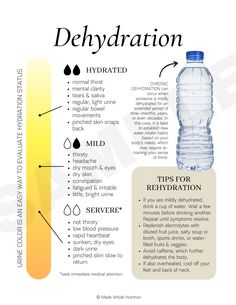 Tips For Constipation, Nutritional Therapy Practitioner, Holistic Nutritionist, Health Habits