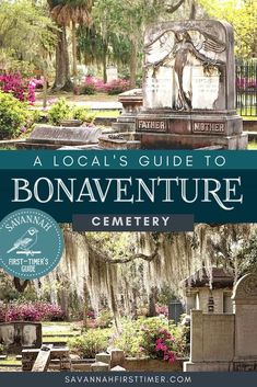 a cemetery with the title alocal's guide to bonaventure cemetery