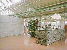 an empty office with plants in the middle