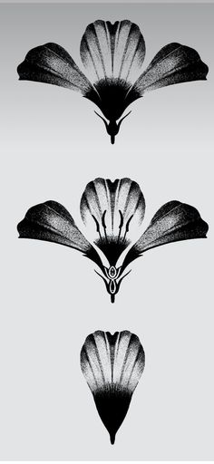 three black and white images of flowers on a gray background, each with different petals