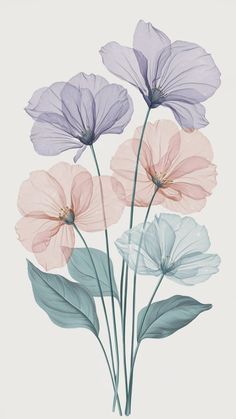 three different colored flowers on a white background