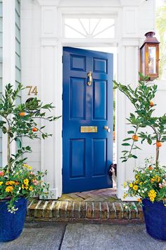 a blue front door with potted plants on the steps