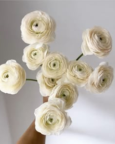 a vase filled with white flowers on top of a table