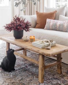 a cat sitting on the floor in front of a coffee table with books and candles