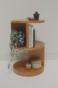 a wooden shelf with books and plants on it