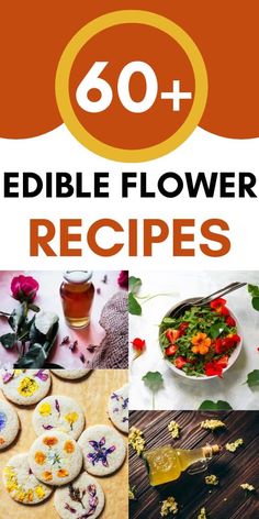 the cover of 60 + edible flower recipes with images of flowers, cookies and tea