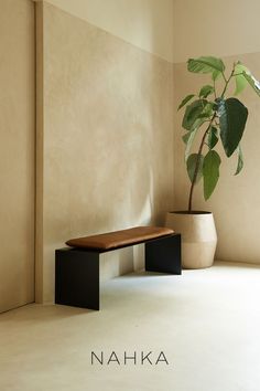 a potted plant sitting on top of a wooden bench next to a white wall