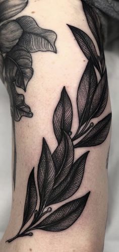 a black and white photo of leaves on the leg