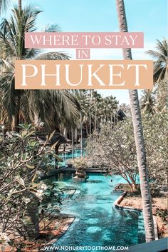 a pool with palm trees and the words where to stay in phoket