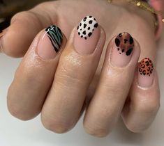 Pastel Animal Print Nails, Animal Print Gel Nails, Zoo Nails, Animal Print Uñas, Carey Nails, Cheetah Print Nails, Animal Print Nails Art, Lash Lifting