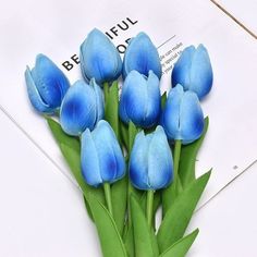 blue tulips are laying on top of a piece of paper