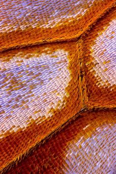 an orange and yellow fabric with some white dots on the top, as if it were woven