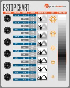 an info sheet with different types of speakers